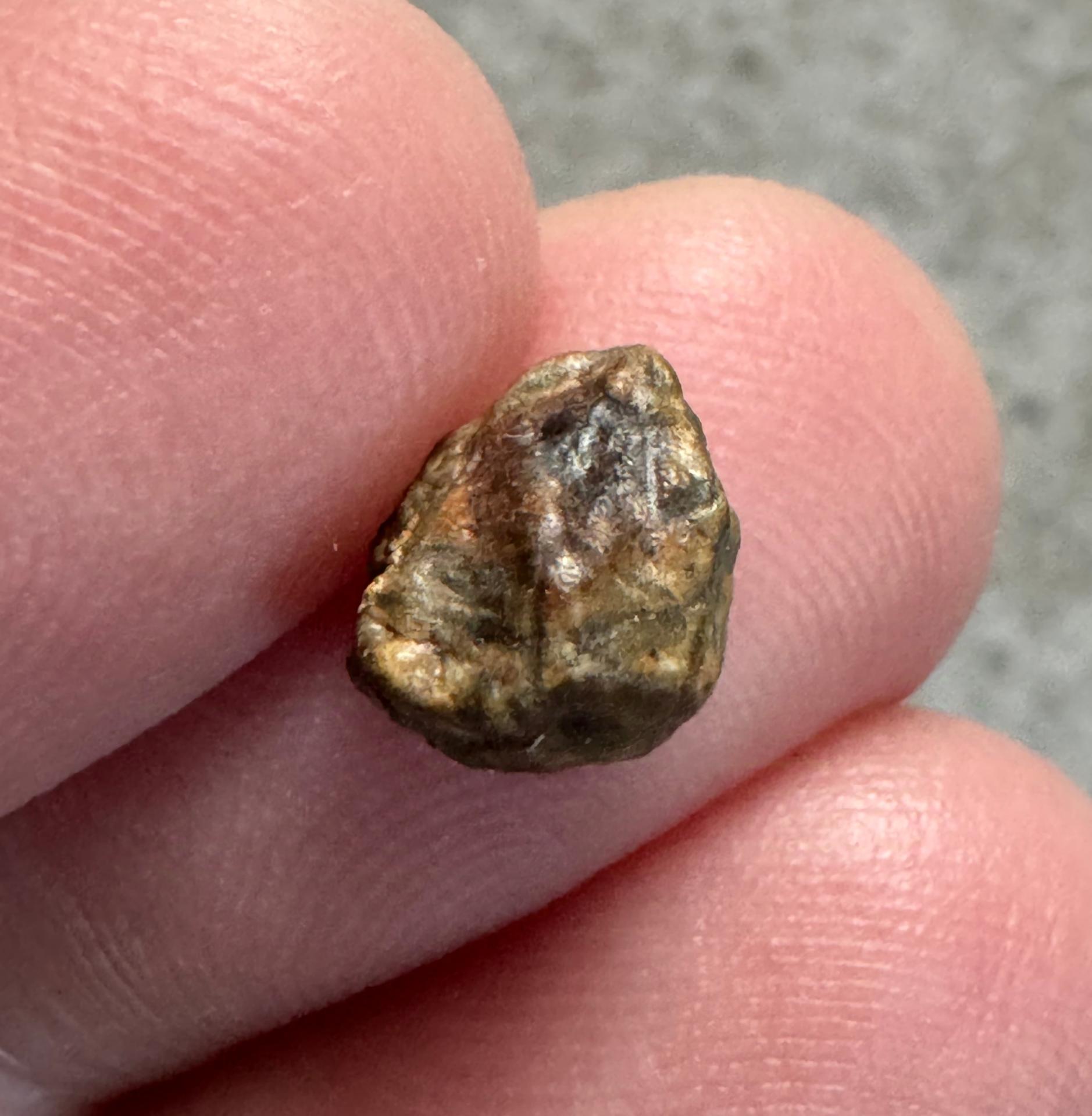 Erg Chech 002 meteorite