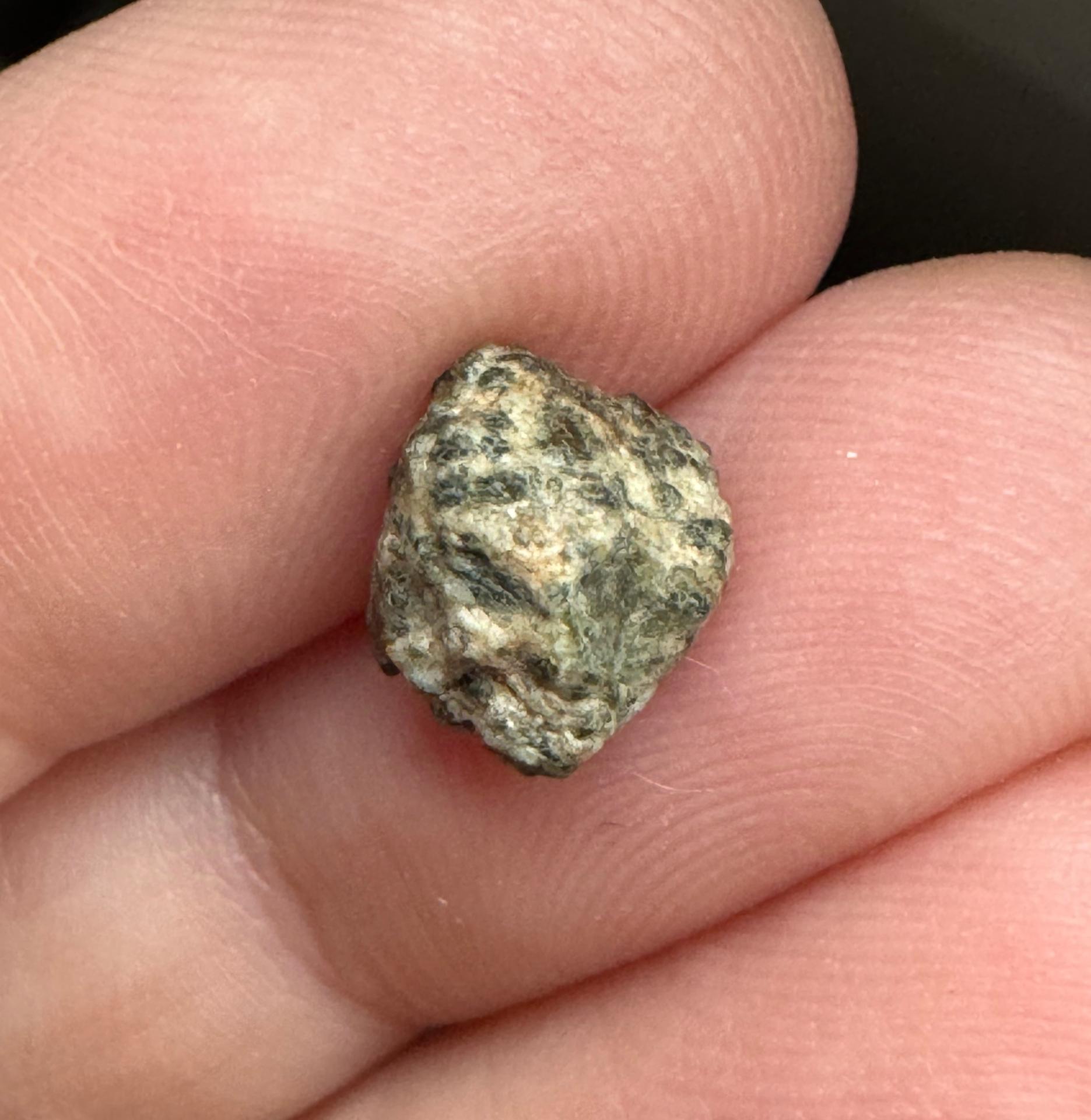 Erg Chech 002 meteorite