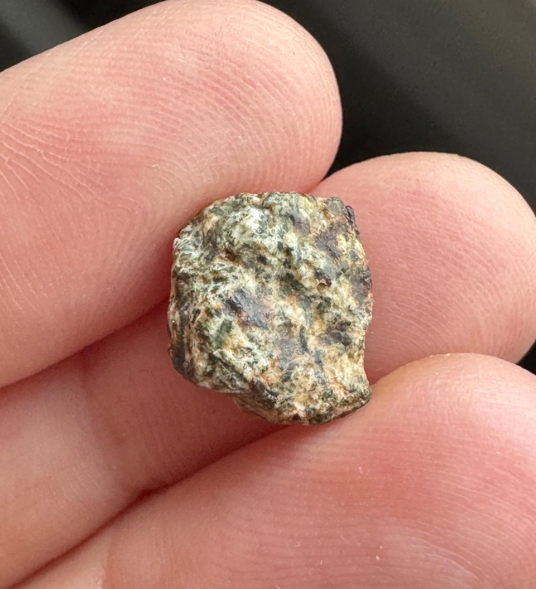 Erg Chech 002 meteorite