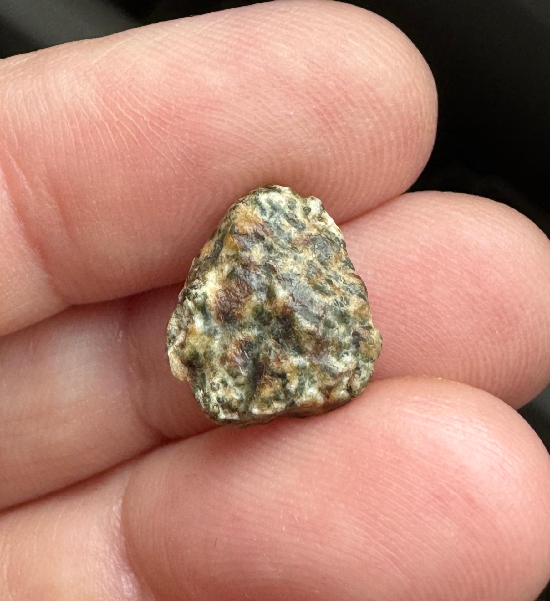 Erg Chech 002 meteorite