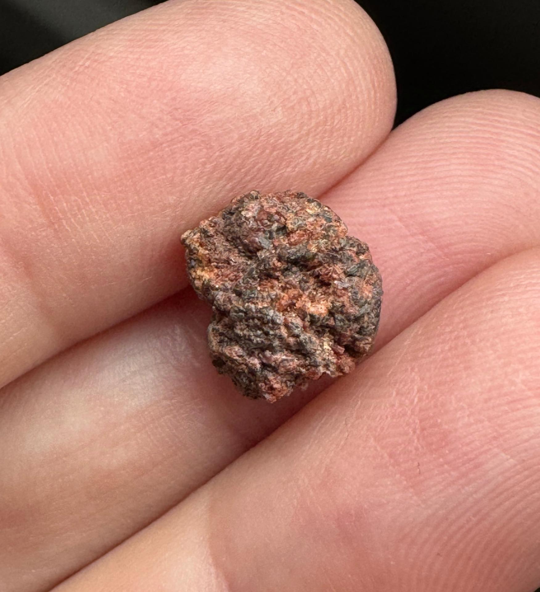 Erg Chech 002 meteorite