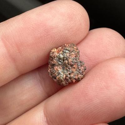 Erg Chech 002 meteorite