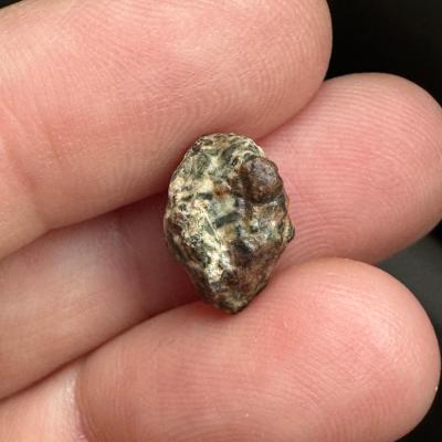 Erg Chech 002 meteorite