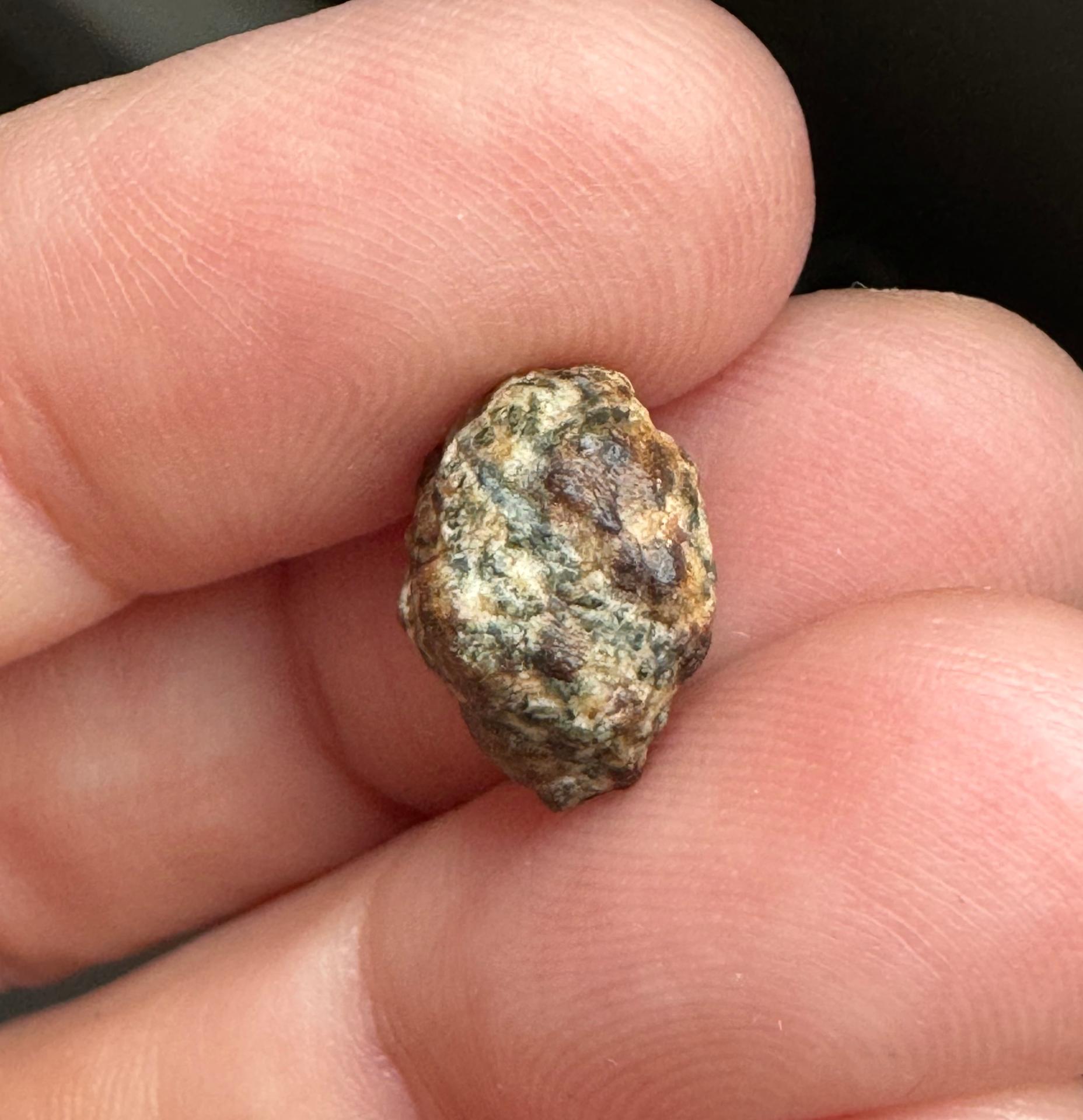 Erg Chech 002 meteorite