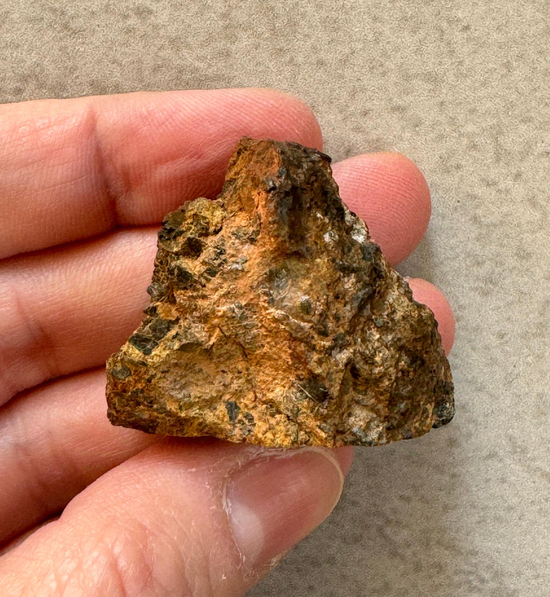 NWA 14099 diogenite meteorite