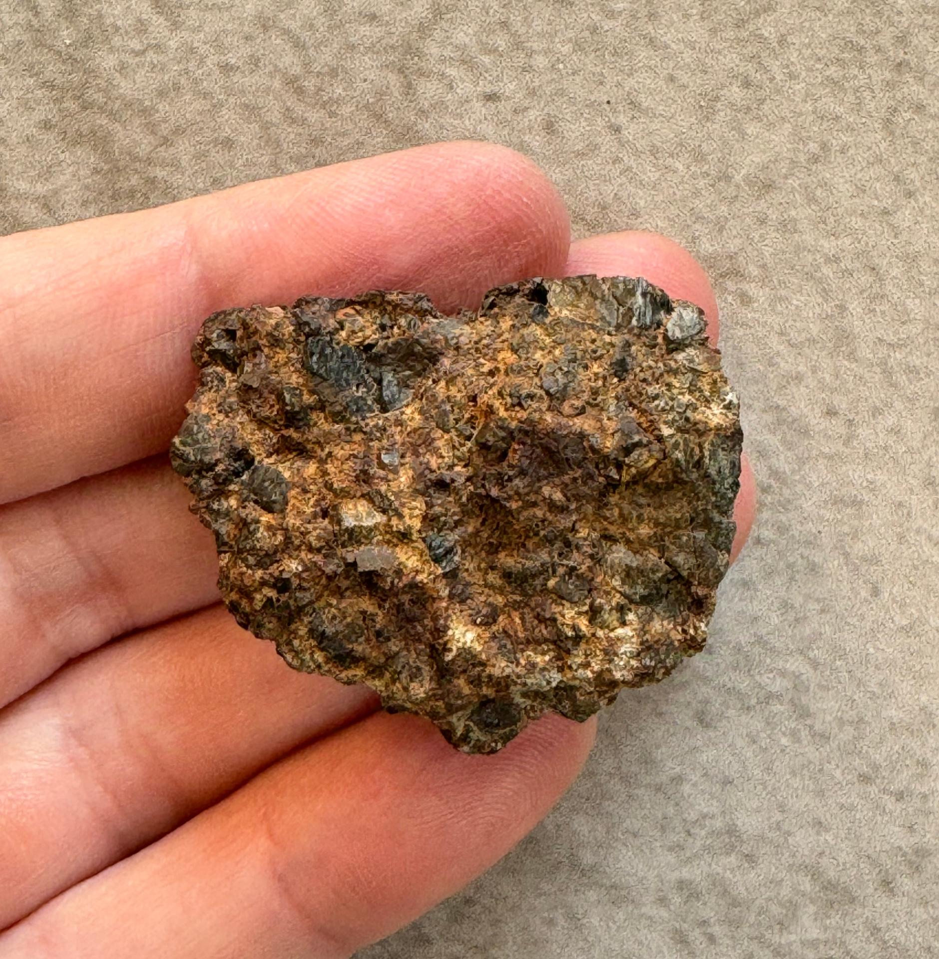 NWA 14099 diogenite meteorite