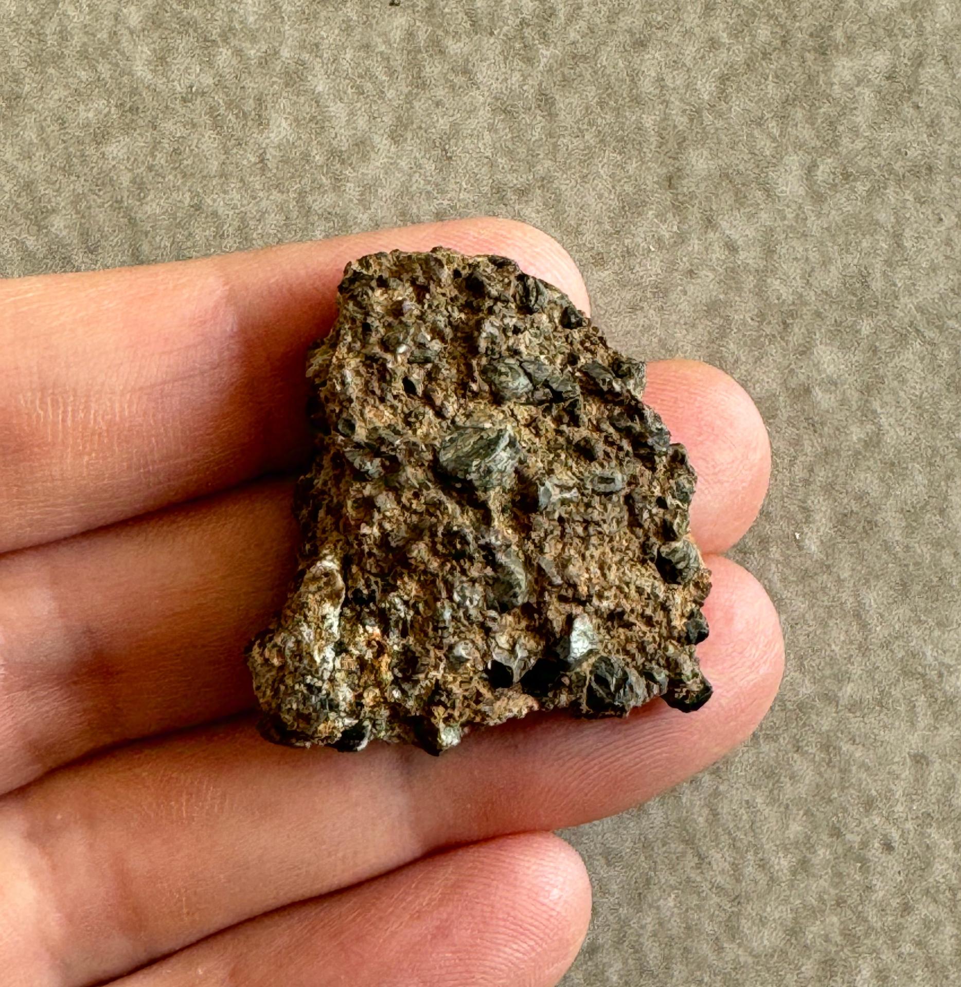 NWA 14099 diogenite meteorite