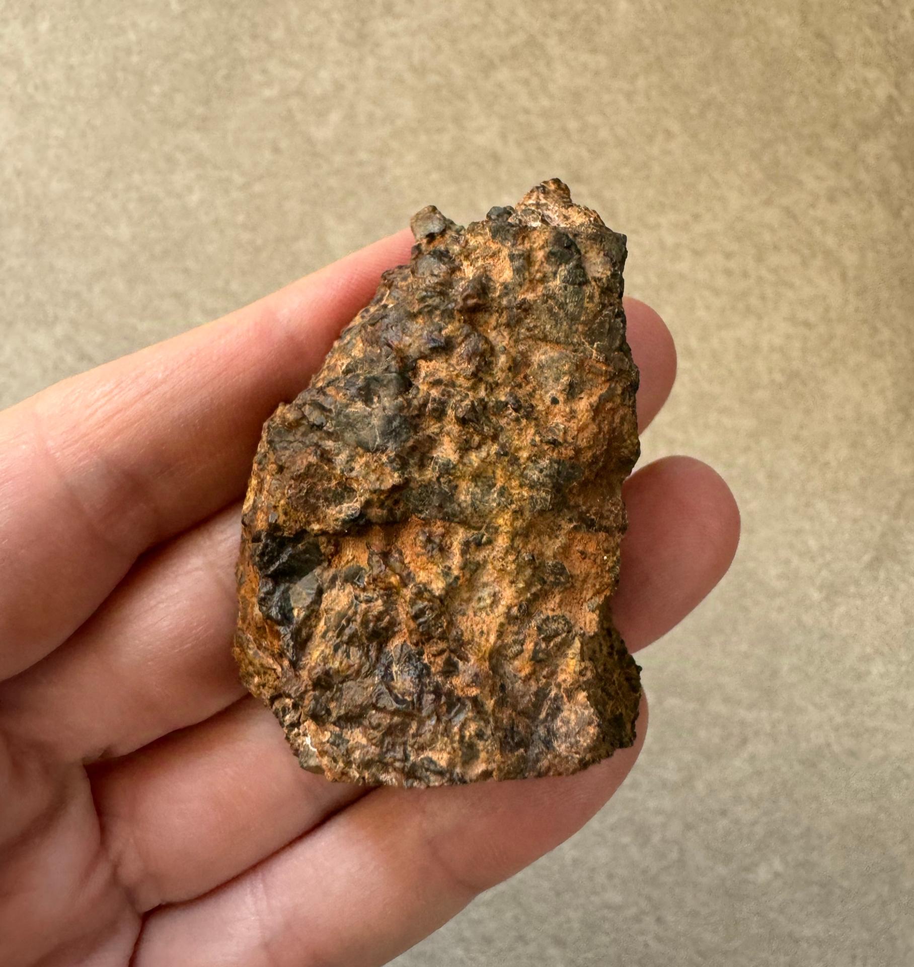 NWA 14099 diogenite meteorite